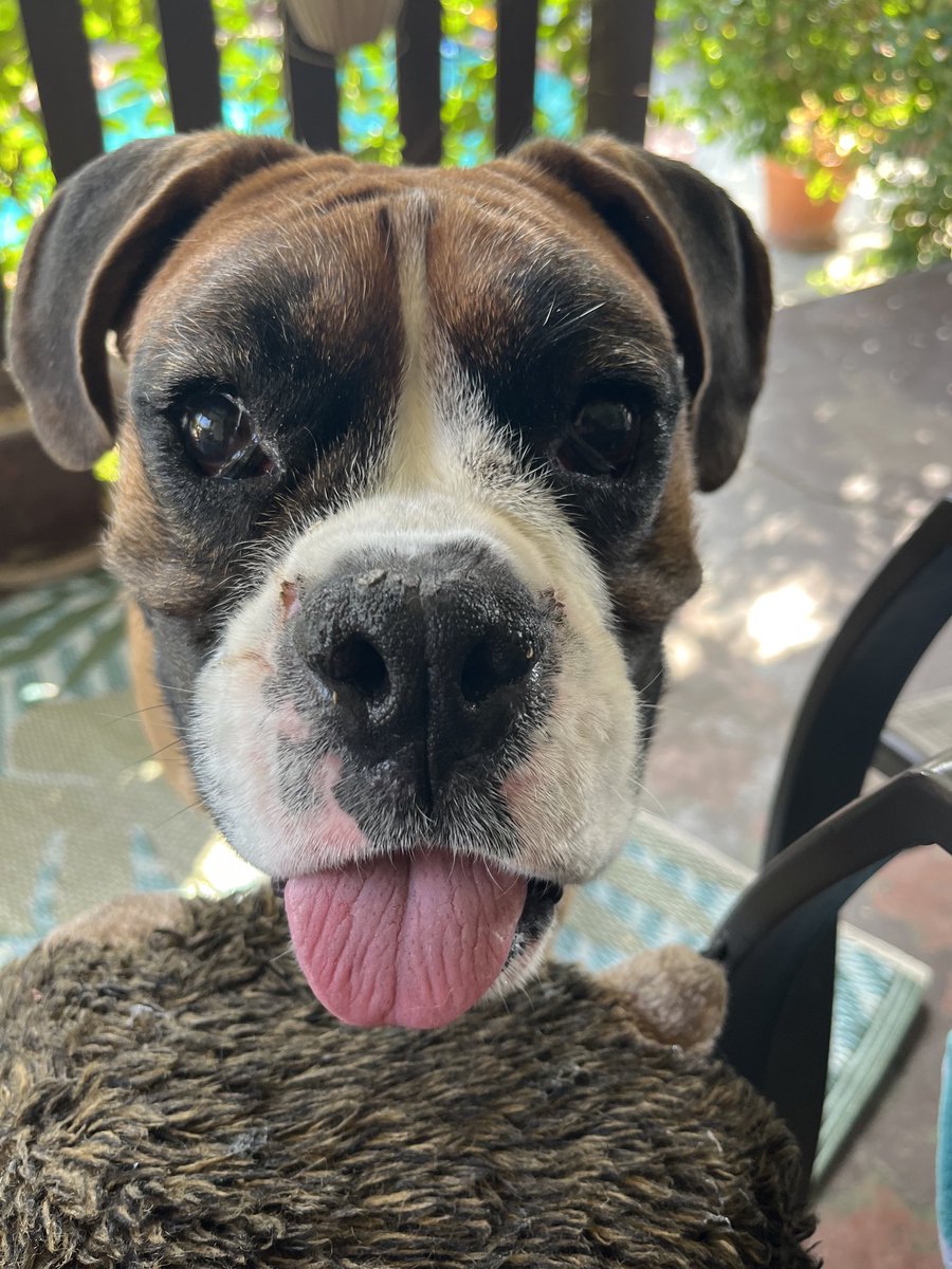 Happy Saturday! It’s play time! 😀🐾🐾