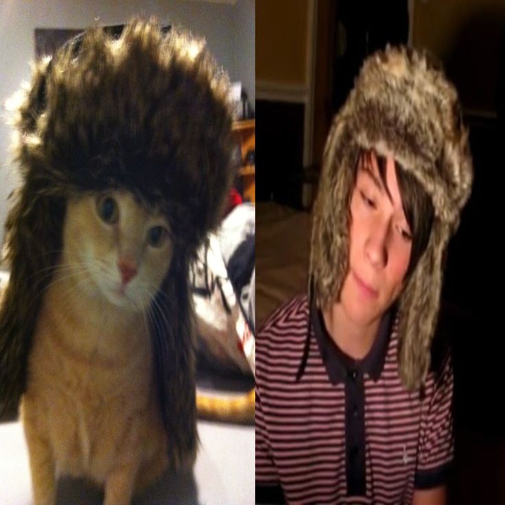 dan and phil comfort (@dnpcomfort) on Twitter photo 