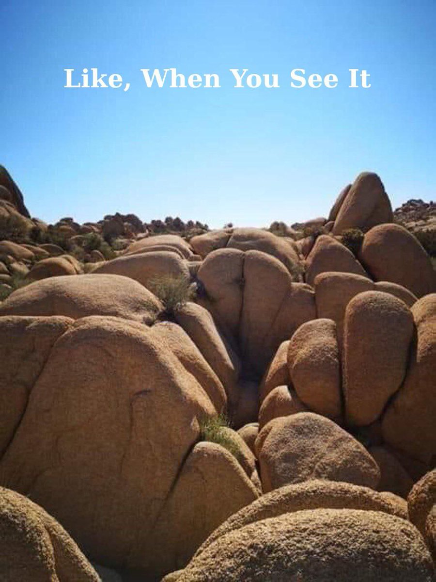 “Nature’s been trying to tell us about FARTHOLE since the dawn of time. 🌍
You just weren’t ready to see it.”

CA : TCp4CAKknpBv8W2feJrEk1mWtZxTaWaFAkxR4sofart

<a href="/thefarthole/">Farthole</a> <a href="/thebuttholecoin/">Butthole Coin</a>
#thebuttholematrix