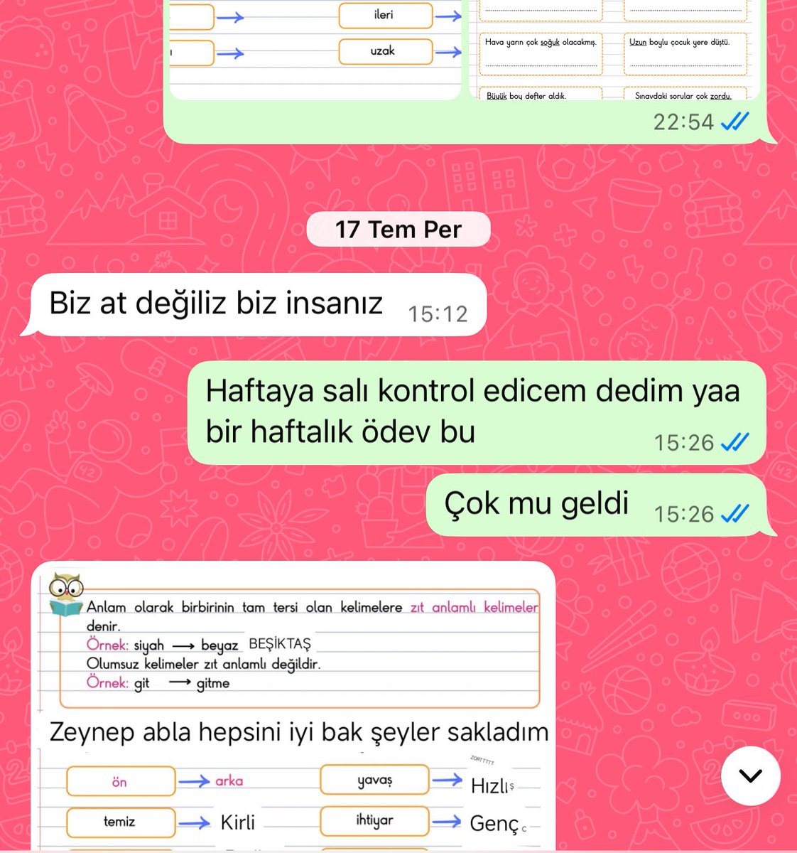 benim ogrenci (8 yasinda)