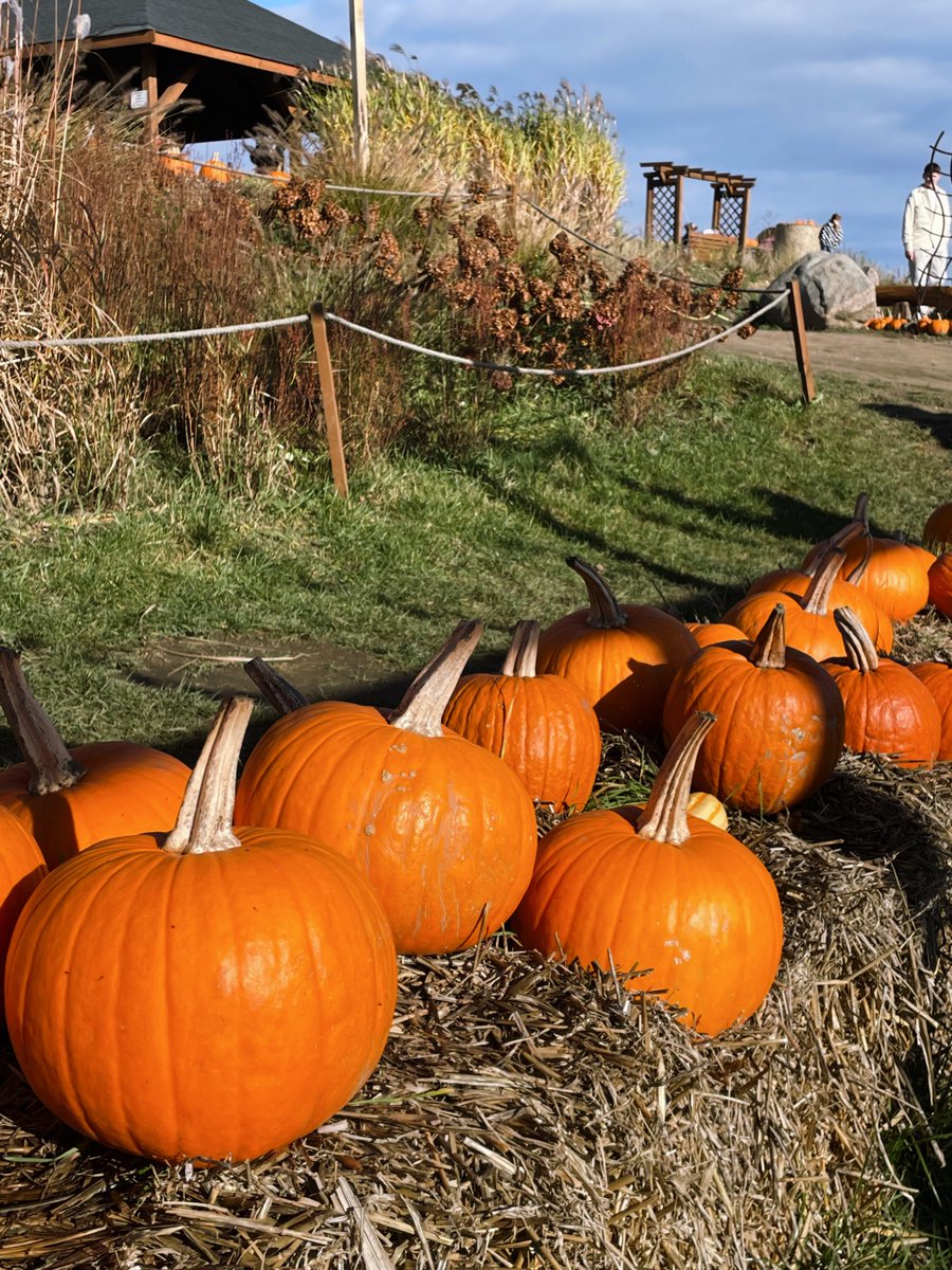 sara ☾ tweet media