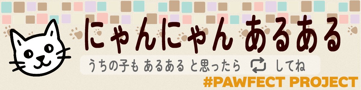 PawfectProject's tweet photo. 🐾【#にゃんにゃんあるある】🐾

「新しい爪とぎを買ってきたのに、その段ボールで爪をとぐ」

※「うちの子もそう！」と思ったら🔁お願いします🐱
#PawfectProject #猫 #ネコ #猫好き #猫のいる暮らし https://t.co/L8gE0qOycf