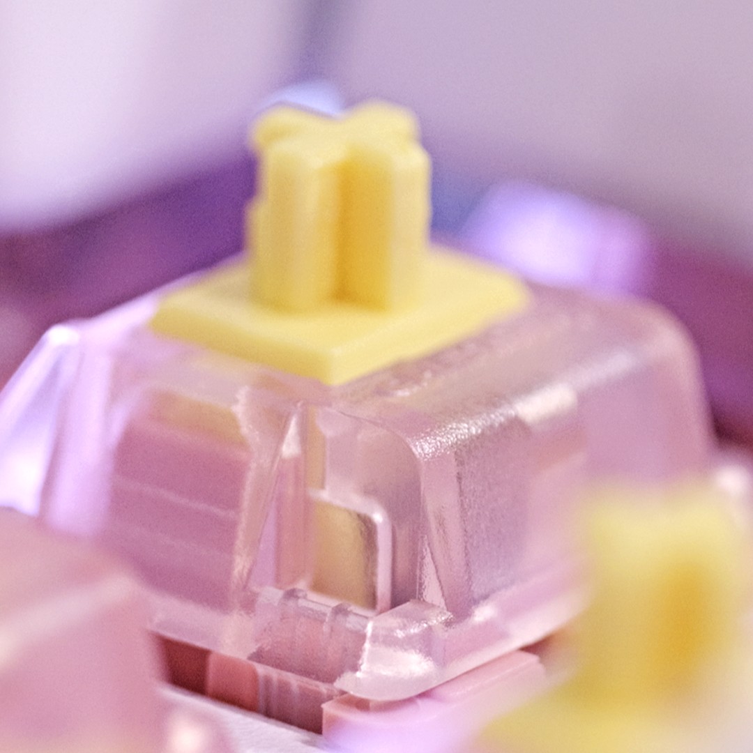 CHERRY ORIGINAL tweet media