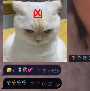 哈哈哈 他說他喜歡我的驚喜😈