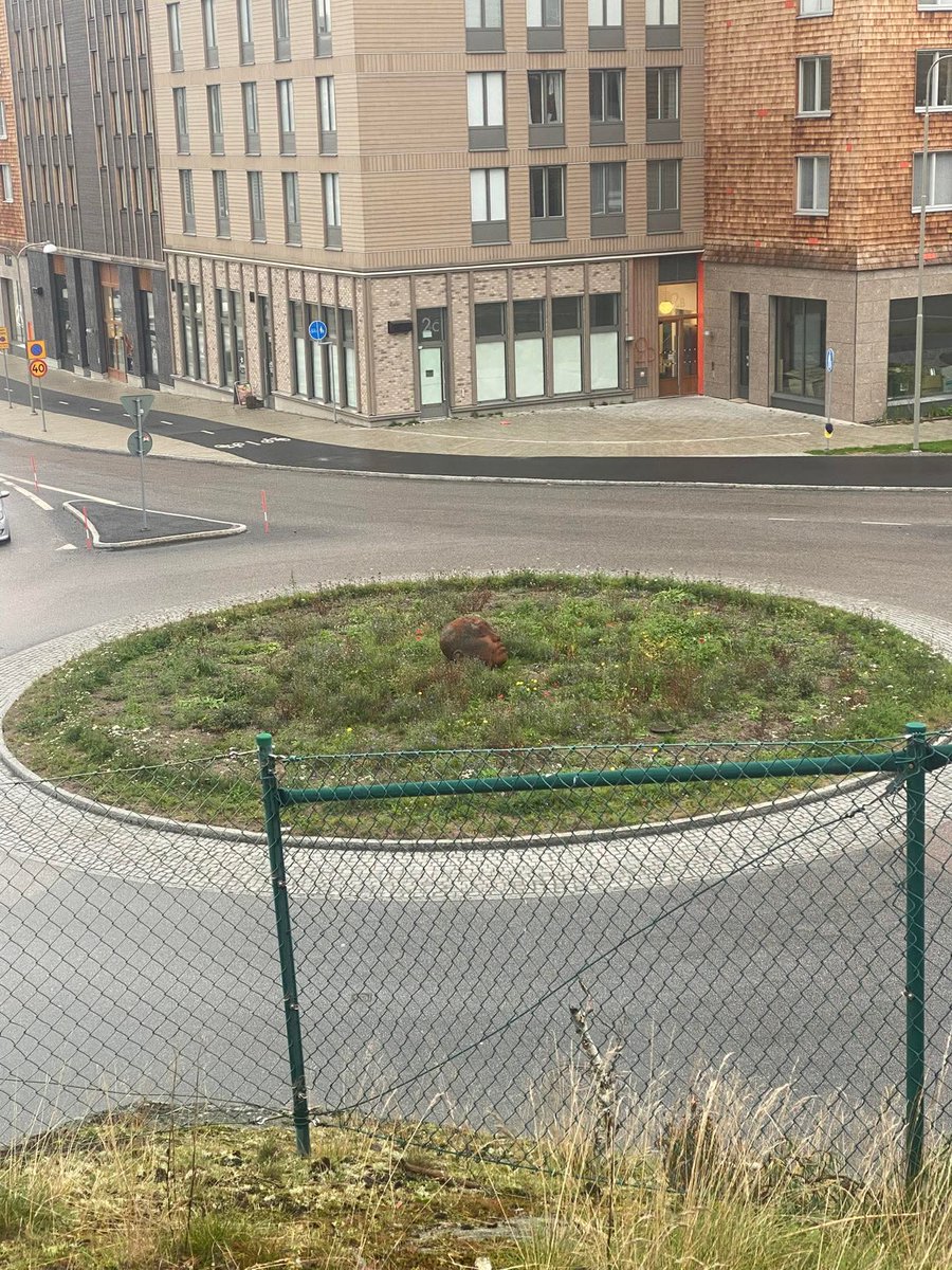 En cirkulationsplats i Orminge.
Ja. Det är ett huvud.