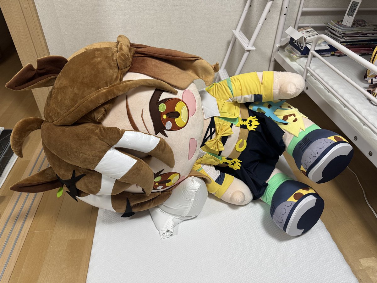 と、いうわけで今夜からリビングで寝ます💤 来月どきゅーとのカフェが