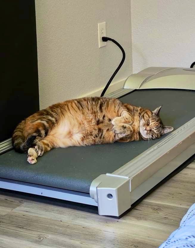 What I really mean when I say that I've been on the treadmill for two hours.