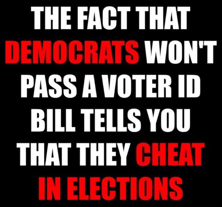 MichelleRM68's tweet image. ID is required to do just about anything! So we only can conclude that Democrats know they can't win without CHEATING!!!