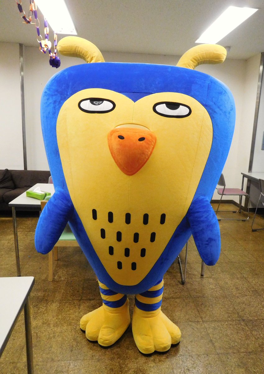 やっち あやっち🦉 (@ayafuku_01) / Posts / X