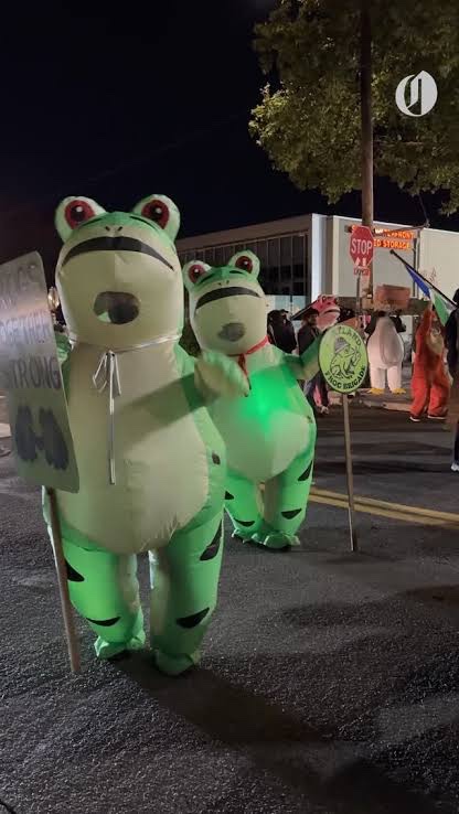 It deponds on what’s hoppening in Portland Toaday…

 #MyTopicalHalloweenCostume