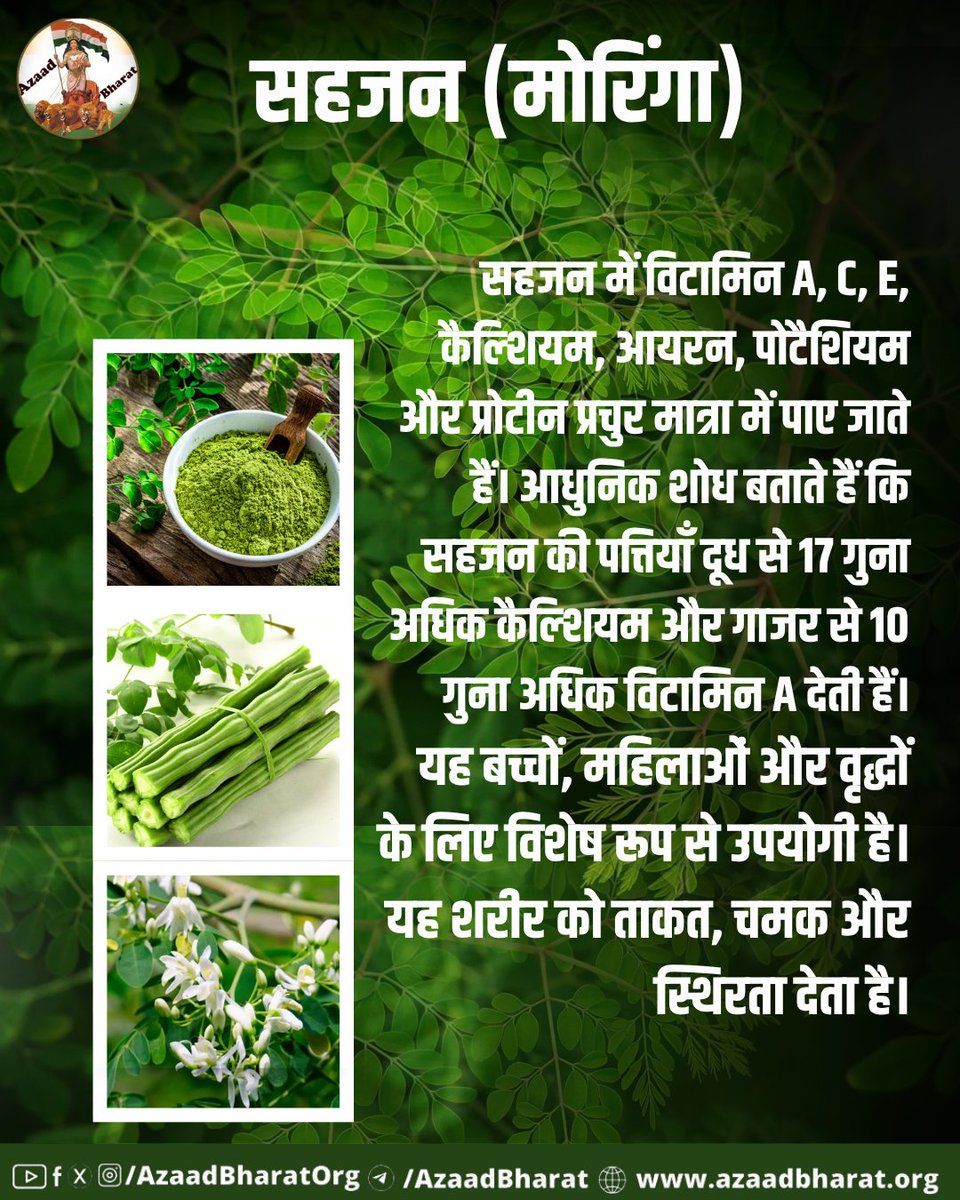 AzaadBharatOrg's tweet image. सहजन न केवल शरीर के लिए बल्कि संपूर्ण जीवन के संतुलन के लिए आवश्यक पौधा है। यह शरीर को शक्ति, मन को स्थिरता और आत्मा को संतोष प्रदान करता है। आयुर्वेद कहता है — “शरीरं मूलं धर्मस्य” अर्थात् स्वस्थ शरीर ही जीवन के सभी लक्ष्यों की नींव है।
👉🏻 azaadbharat.org/?p=13341