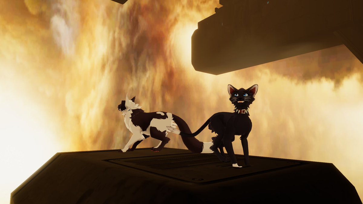 RoseSong tweet media