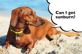 he7ix  tweet media