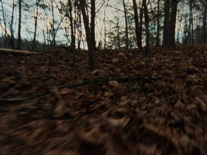 The Evil Dead (1981)