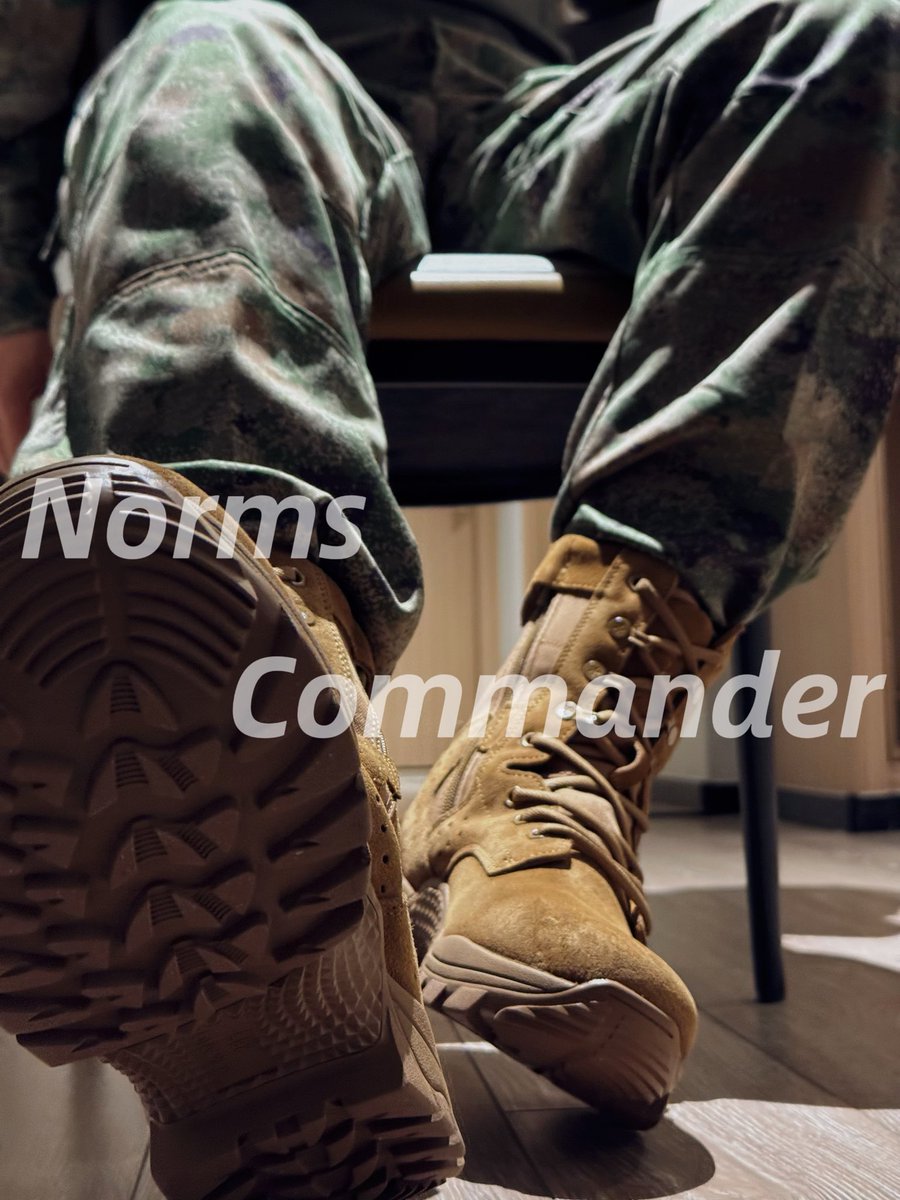 NormsCommander's tweet image. 你会喜欢吗？