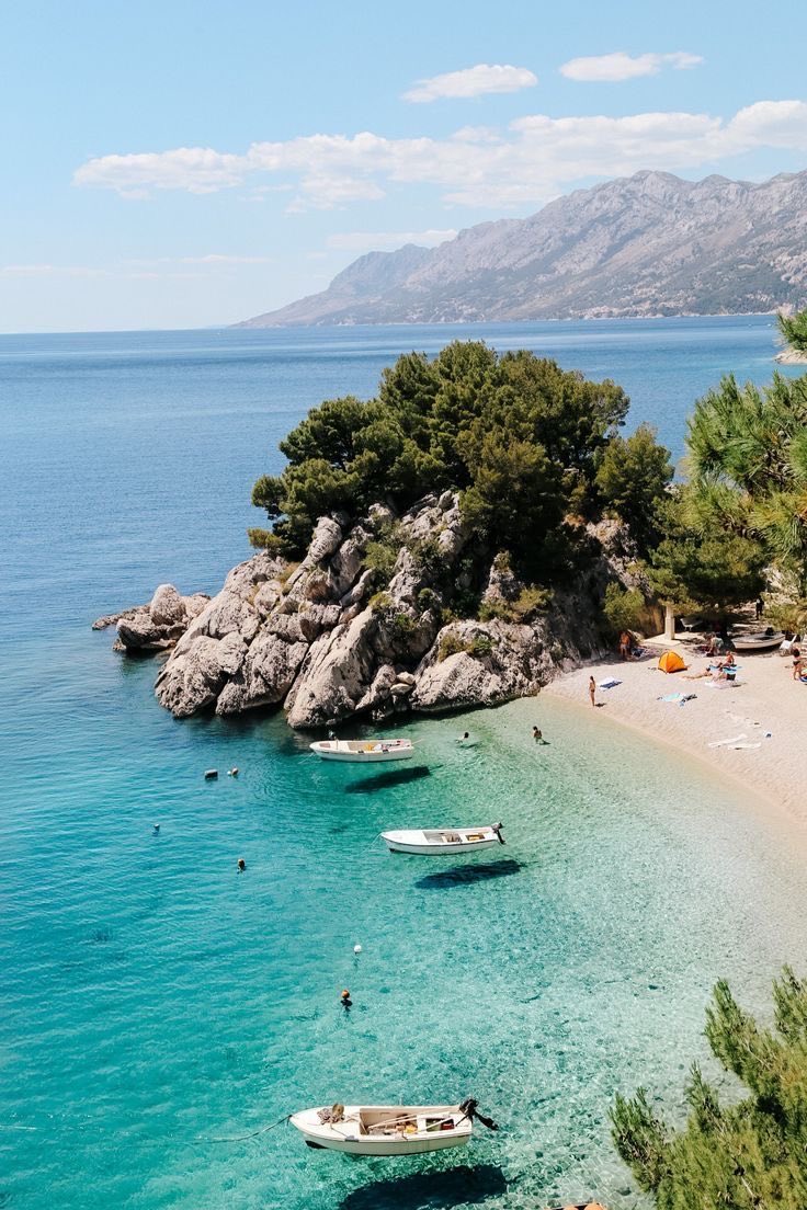 SeascapeNature's tweet image. 