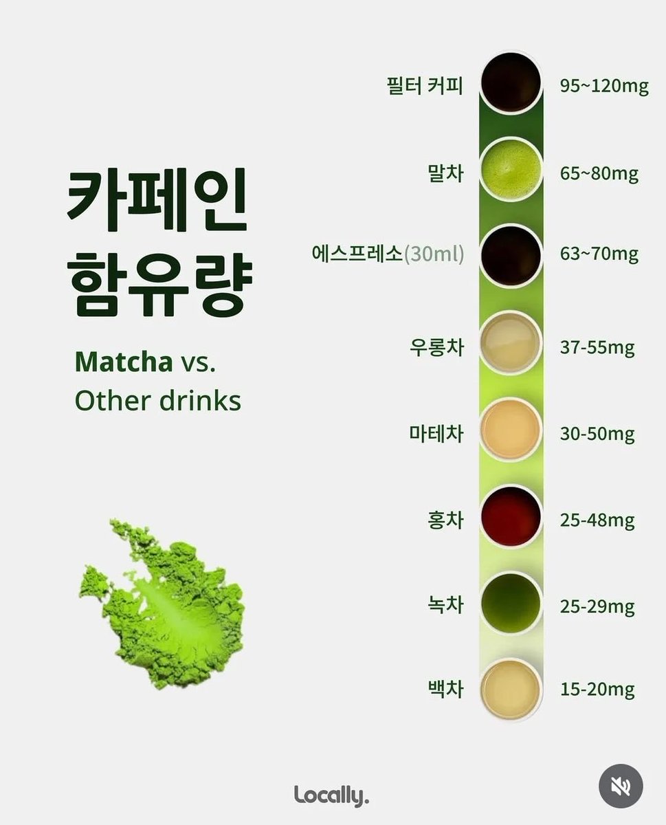 말차에 카페인이 이렇게 많이 들어있는지
몰 랏 어
