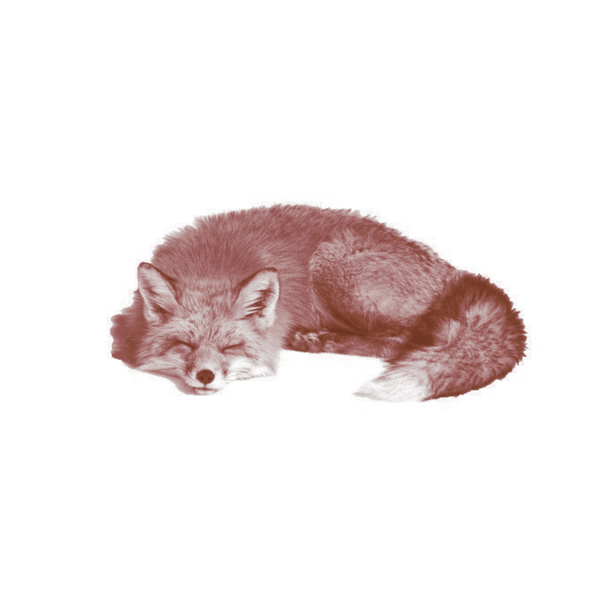 ᛝ 𓈒 佐狐 ⟢ tweet media