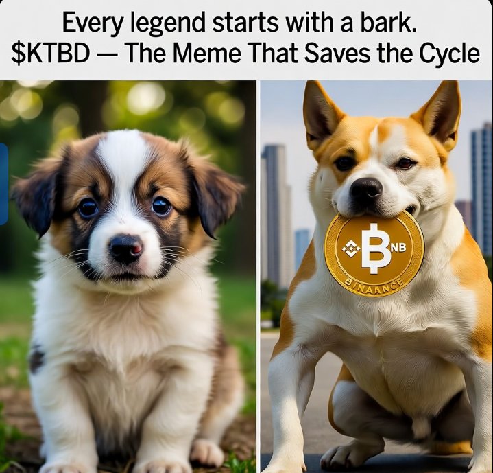 KRYPTO THE BINANCE DOG 🐶 (@KTBD_COMMUNITY) / Posts / X