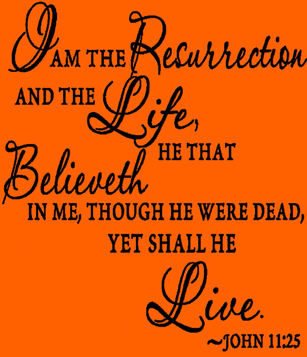 The Truth will set You Free (@arniebragg) on Twitter photo 