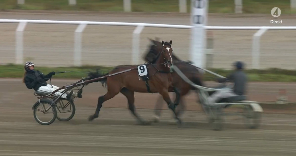 Martin Engström tweet media