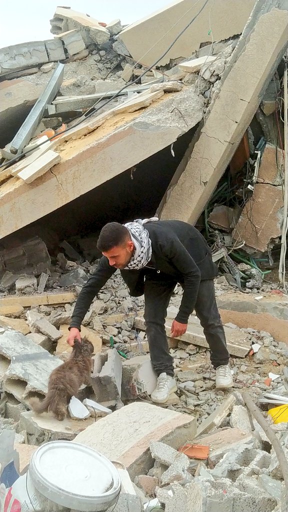 yousefmohmoud25's tweet photo. To everyone Pro-palestinian 😭
 
I need your urgent help. 😭
 
My account has been locked AGAIN and the reach has dropped significantly 😭
 
Please retweet, share, and leave a comment, even a dot.😭 https://t.co/sqxAwfpNLk
