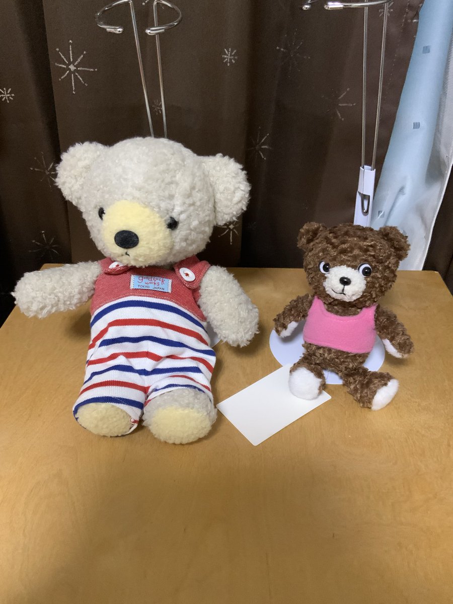 ぬいぐるみの童心【公式】🥺 (@Dousin_kawaii) / Posts / X