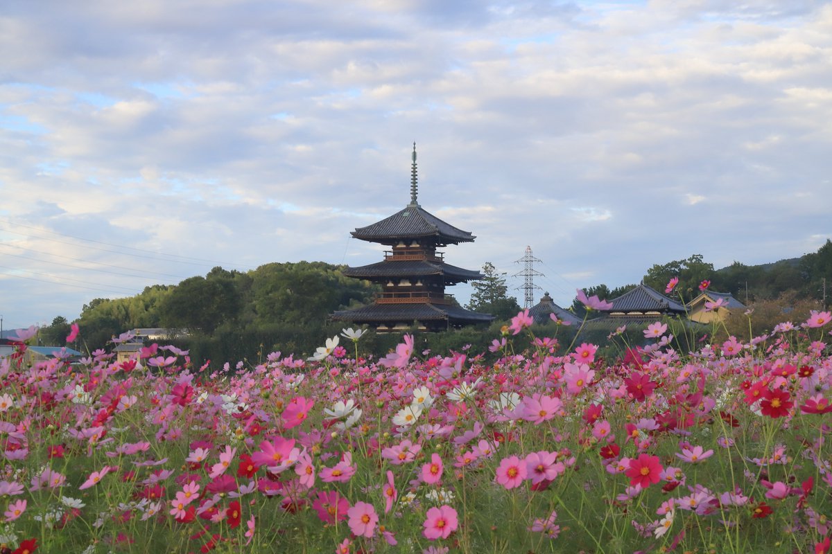 かずにゃn。（謎） on X