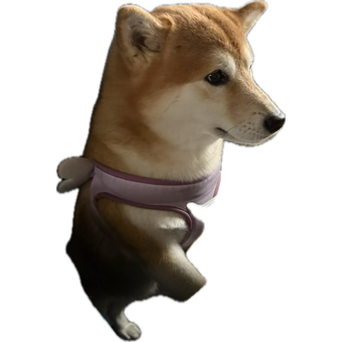 Although $ wise this was a decent week I’d argue it’s one of my worse performance. Truly a goated week an EE performance