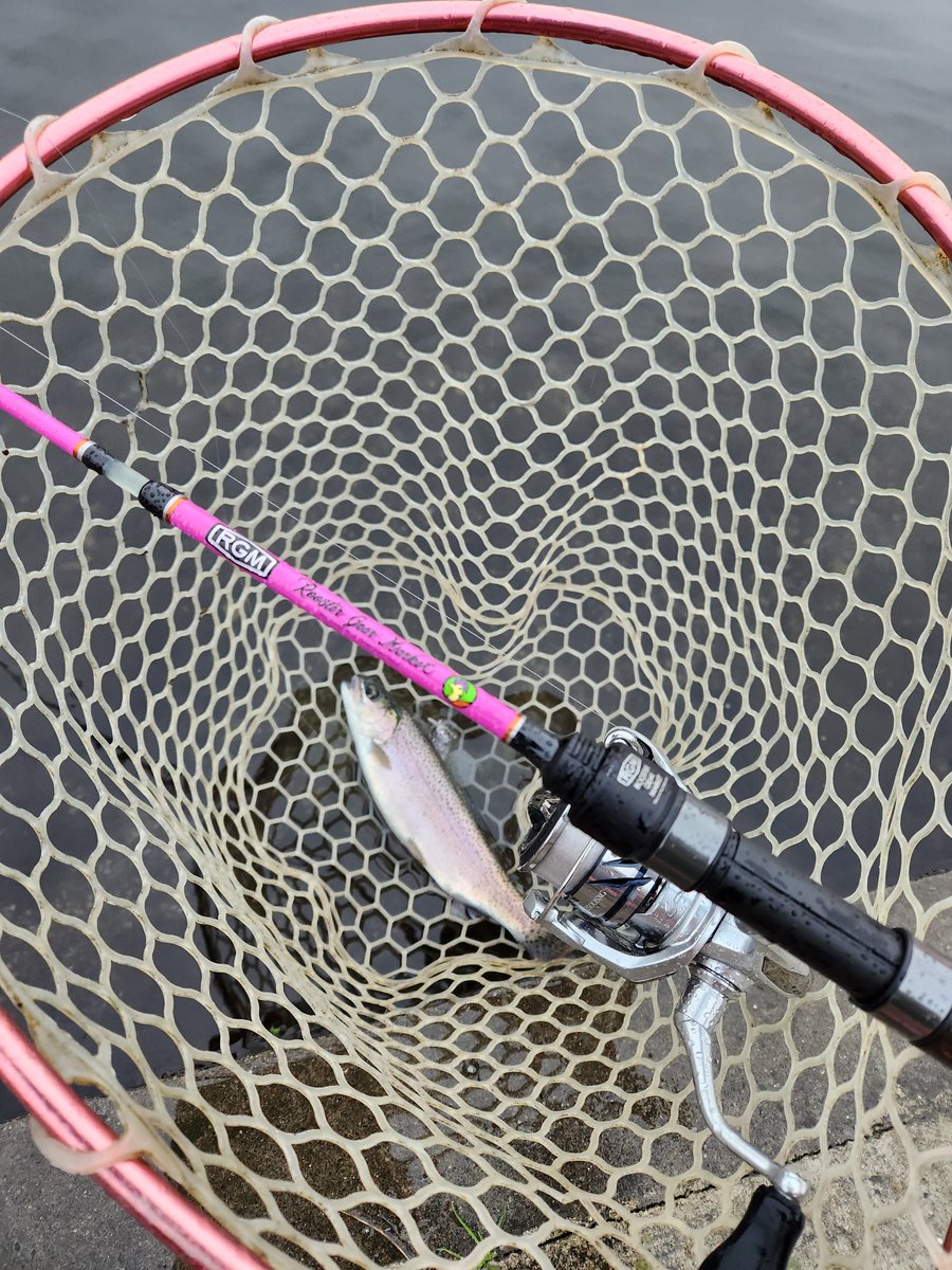 ルアーマン様❗️専用❗️ がさむん🐟️🏍️🌈🎮️ on X