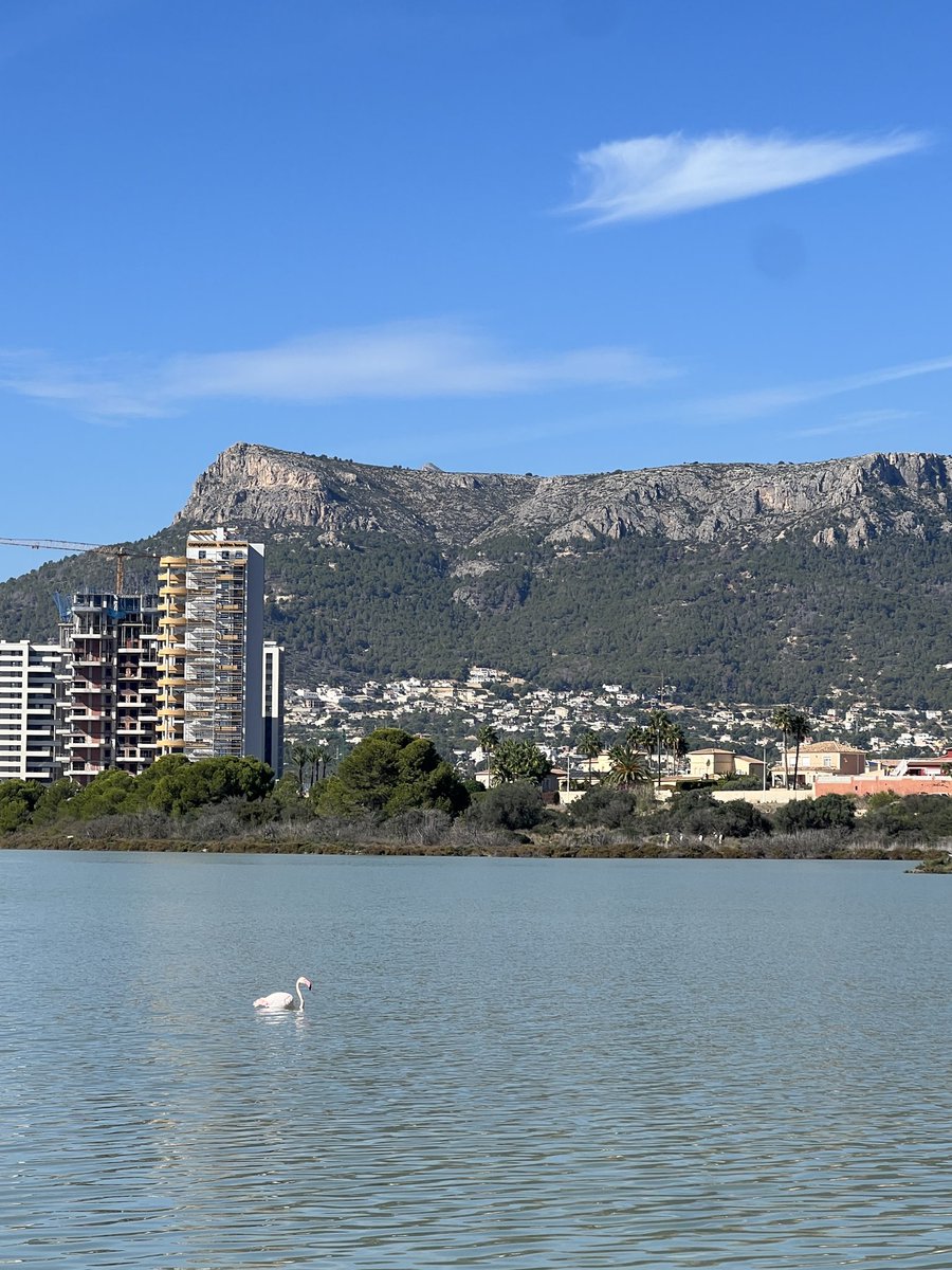 봉사활동 끗…~ 바다 구경도 좀 하구,,,나는 호수 담당 그룹에 들어가게 됐는데 플라밍고가 잔뜩 있엇어….