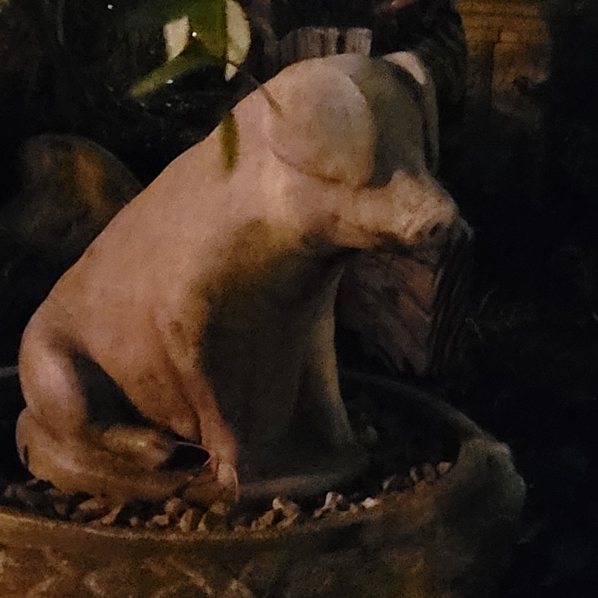 ででにとても楽しかった。