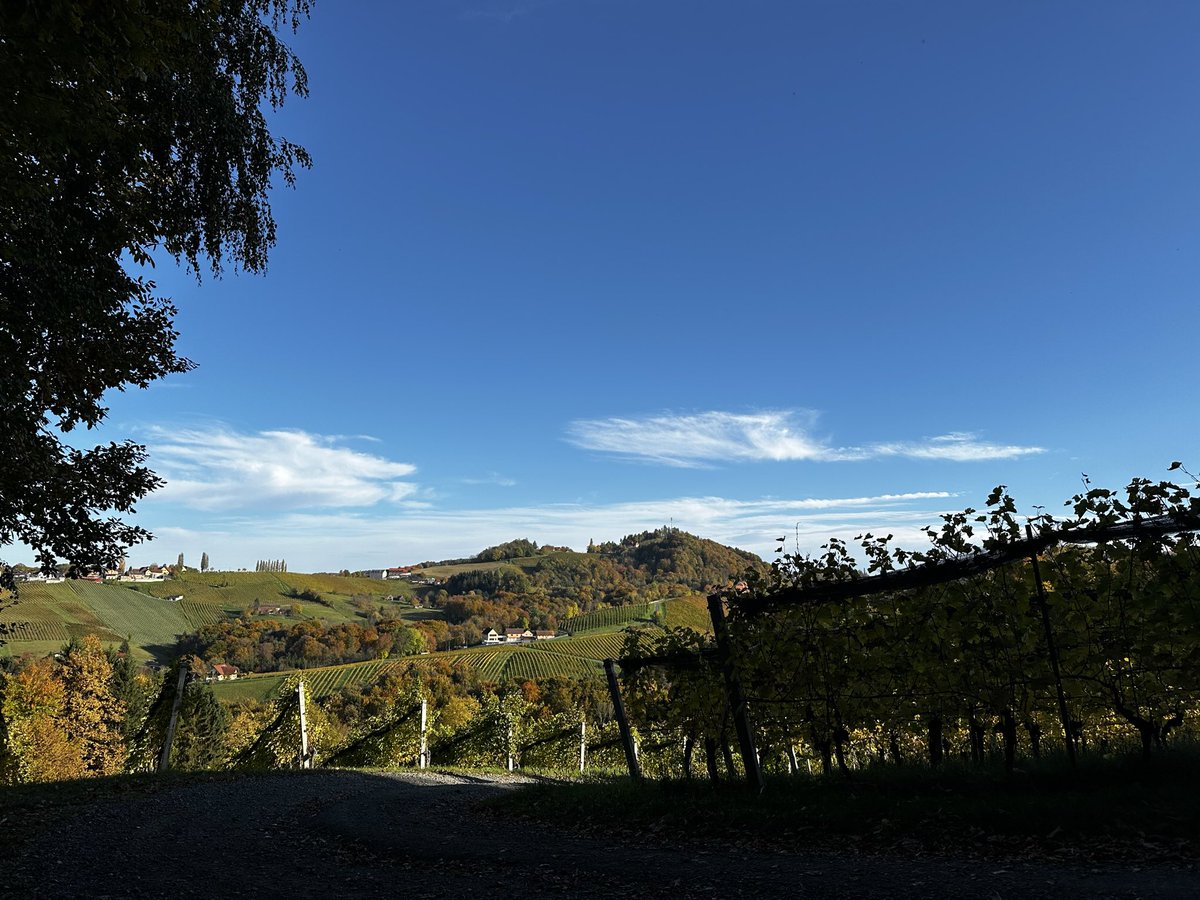 #POV #Südsteiermark