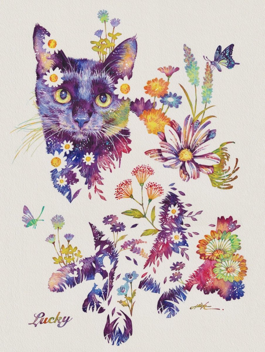 ティーさん専用　タケダヒロキ　ミミズク　原画　2022年大阪での個展にて購入 タケダヒロキ｜水彩画家 (@takedahiroki) / Posts / X