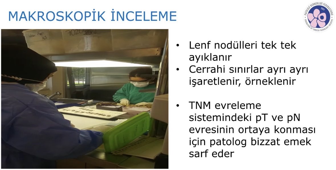 sirinozr's tweet photo. tuk@saglik.gov.tr #patolojicerrahiklinikbranştır https://t.co/OKv5rELwnC