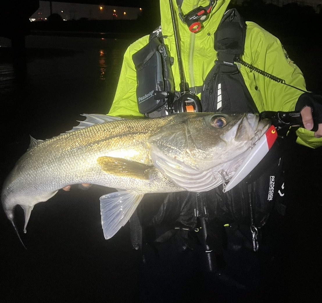 ガジロー (@YyjZ6) / Posts / X