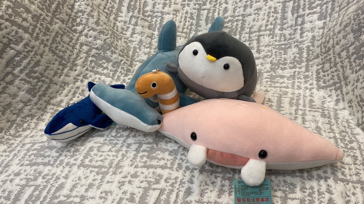 前兩天參加了屏東的海生館夜宿，向各位介紹海中隆中閣。
錘頭鯊-葛大錘
藍鯨-藍司洛特
魟魚-魟景
花園鰻-明日花琦米
企鵝-小鵝
之後來開台介紹海生館的各種可愛小動物，順便抽獎為他們找個家吧。

#景言慎行