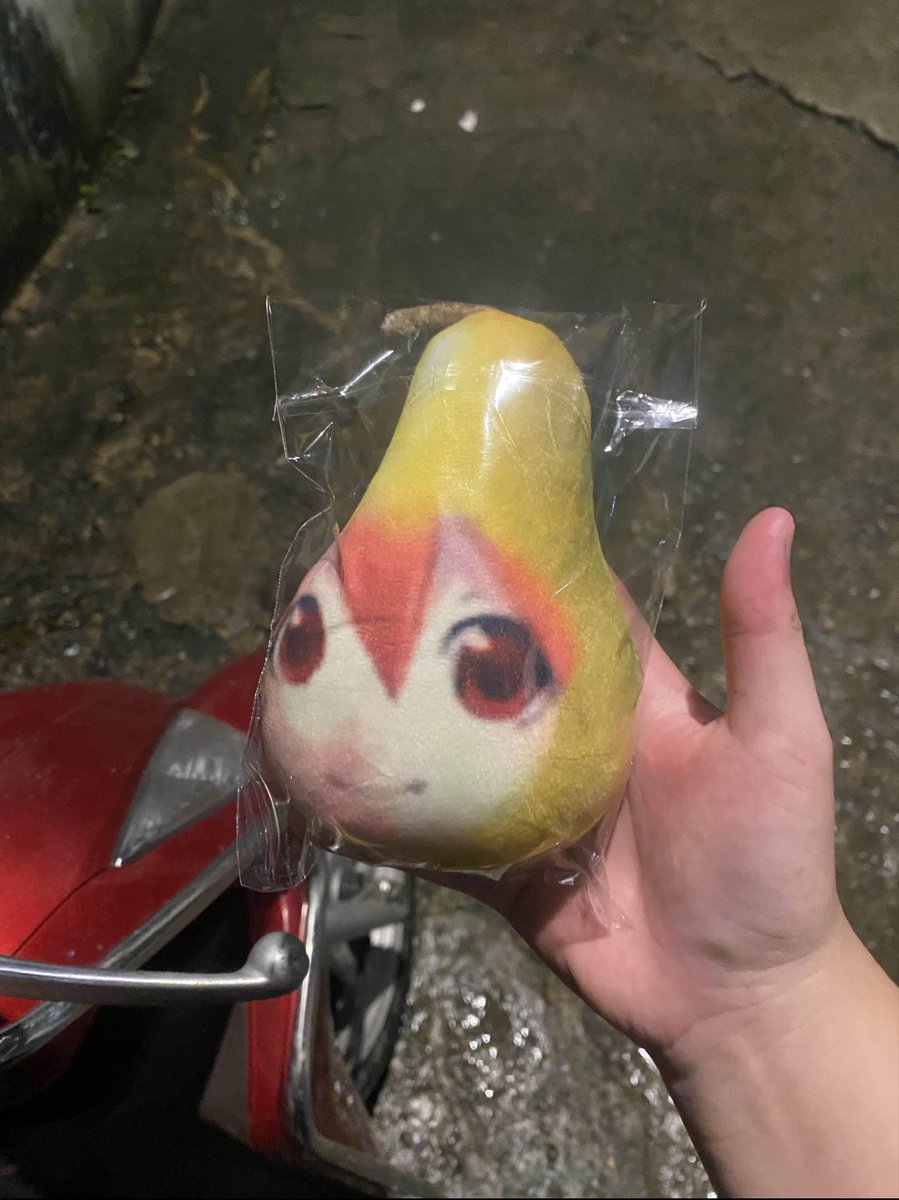 D_H_Giang's tweet image. Hello world

i am small pearto