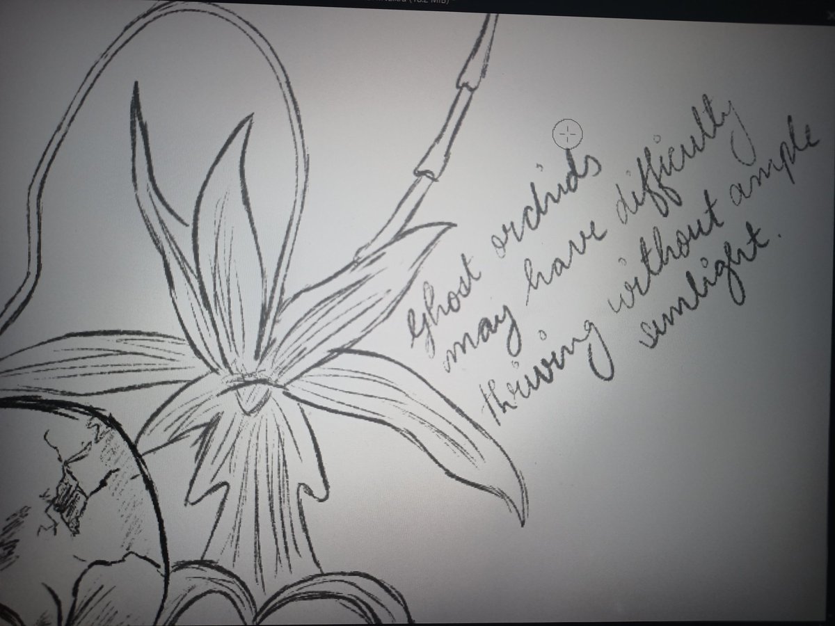 ze muffin man 💀🧼/ Free 🇵🇸 tweet media