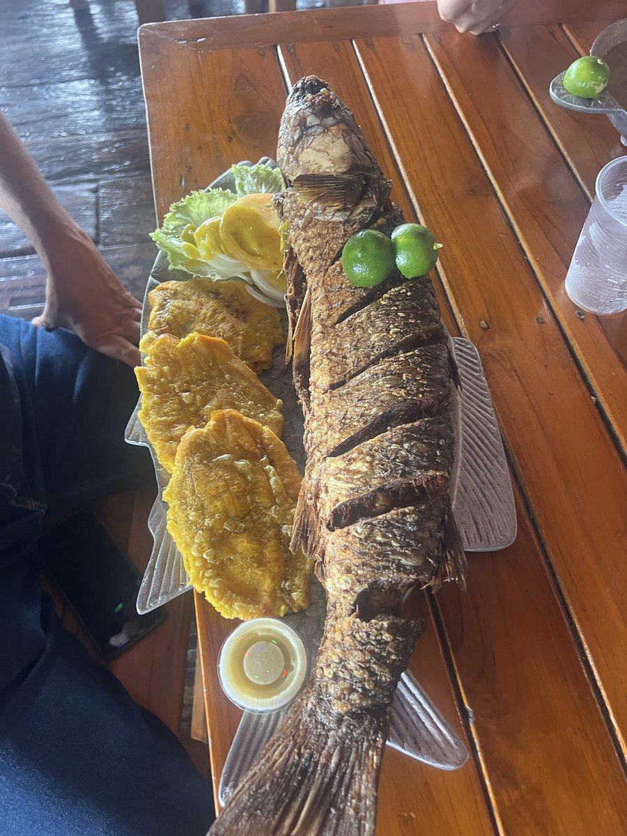 José Díaz tweet media