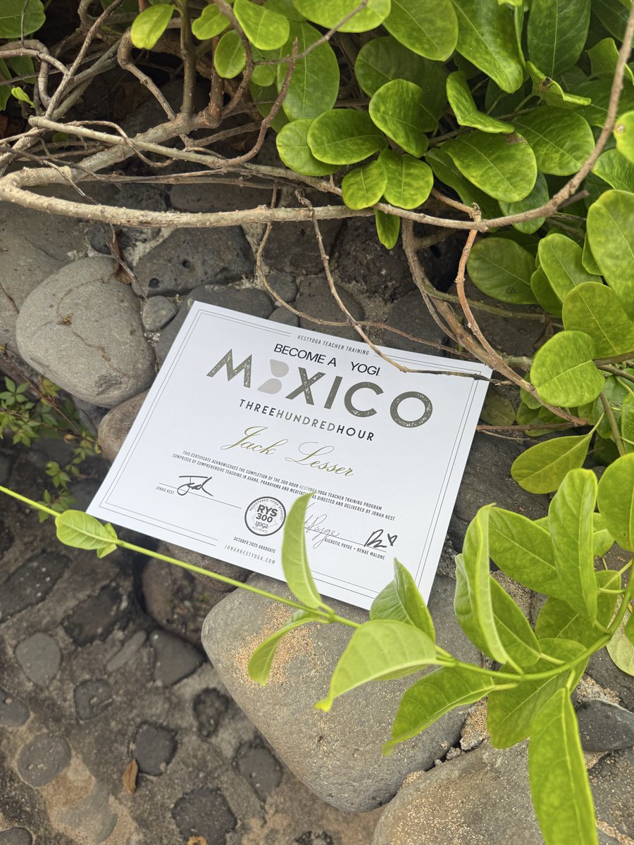 jacklesser_'s tweet image. On today’s edition of you can just do things: 500hr registered yoga teacher ✅ 

Ahooo 🙏 

#Satflow