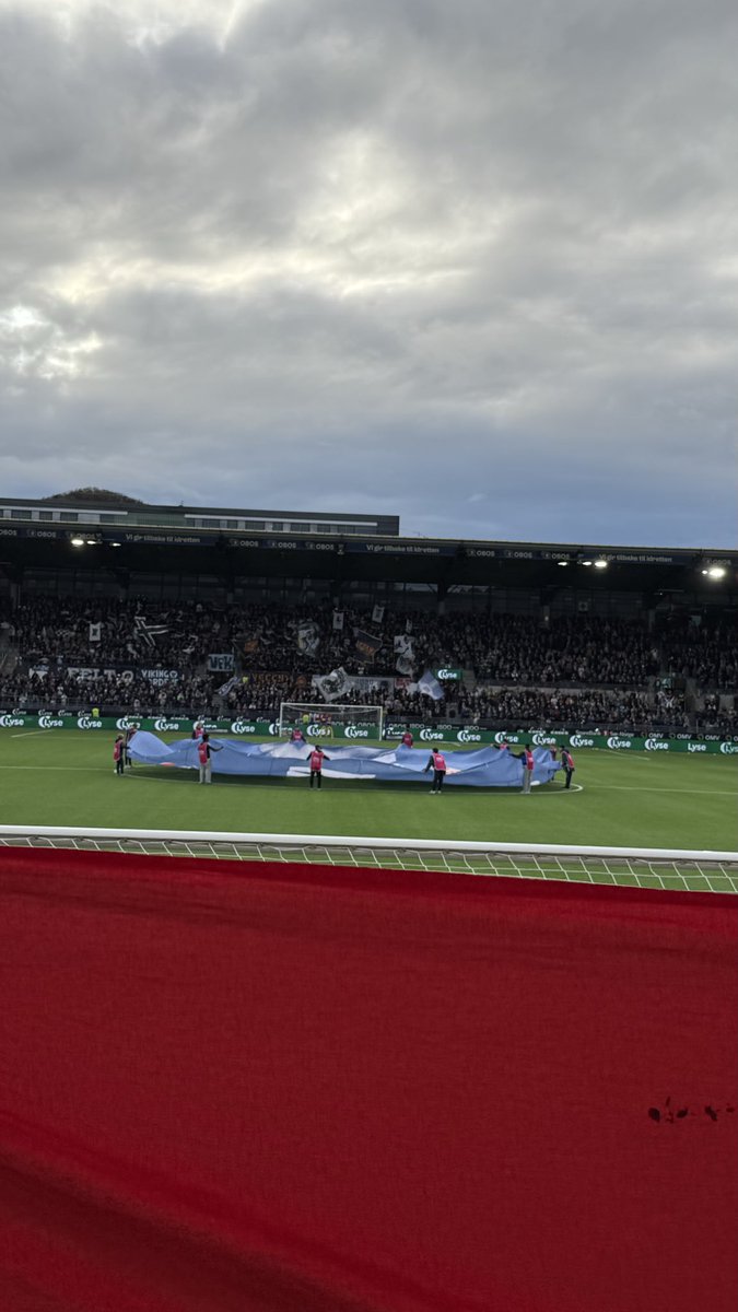 Haakon Vargas tweet media