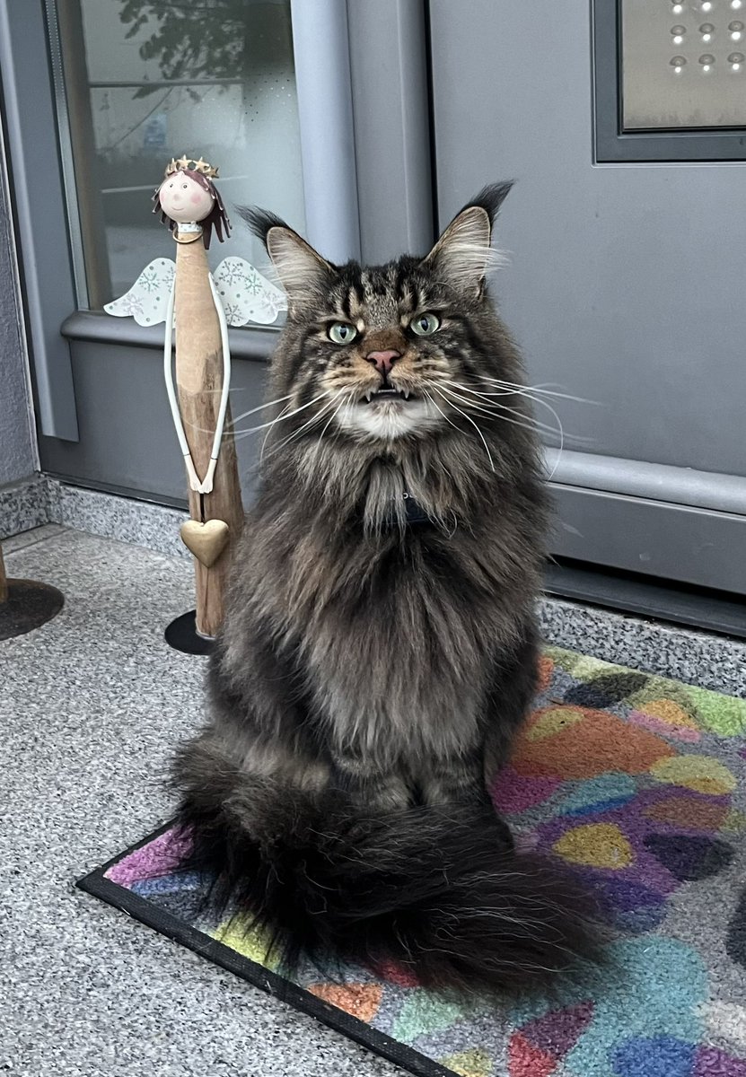 CodingJay tweet media