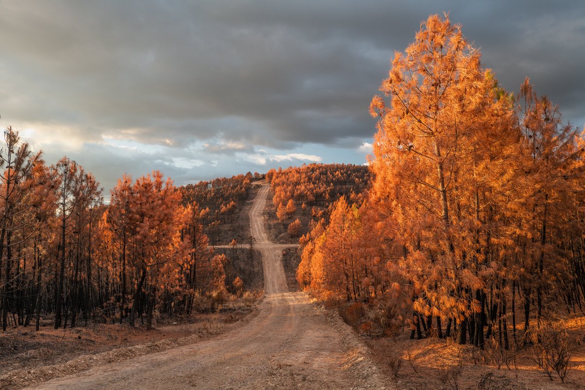 Emmanuel Nataf tweet media