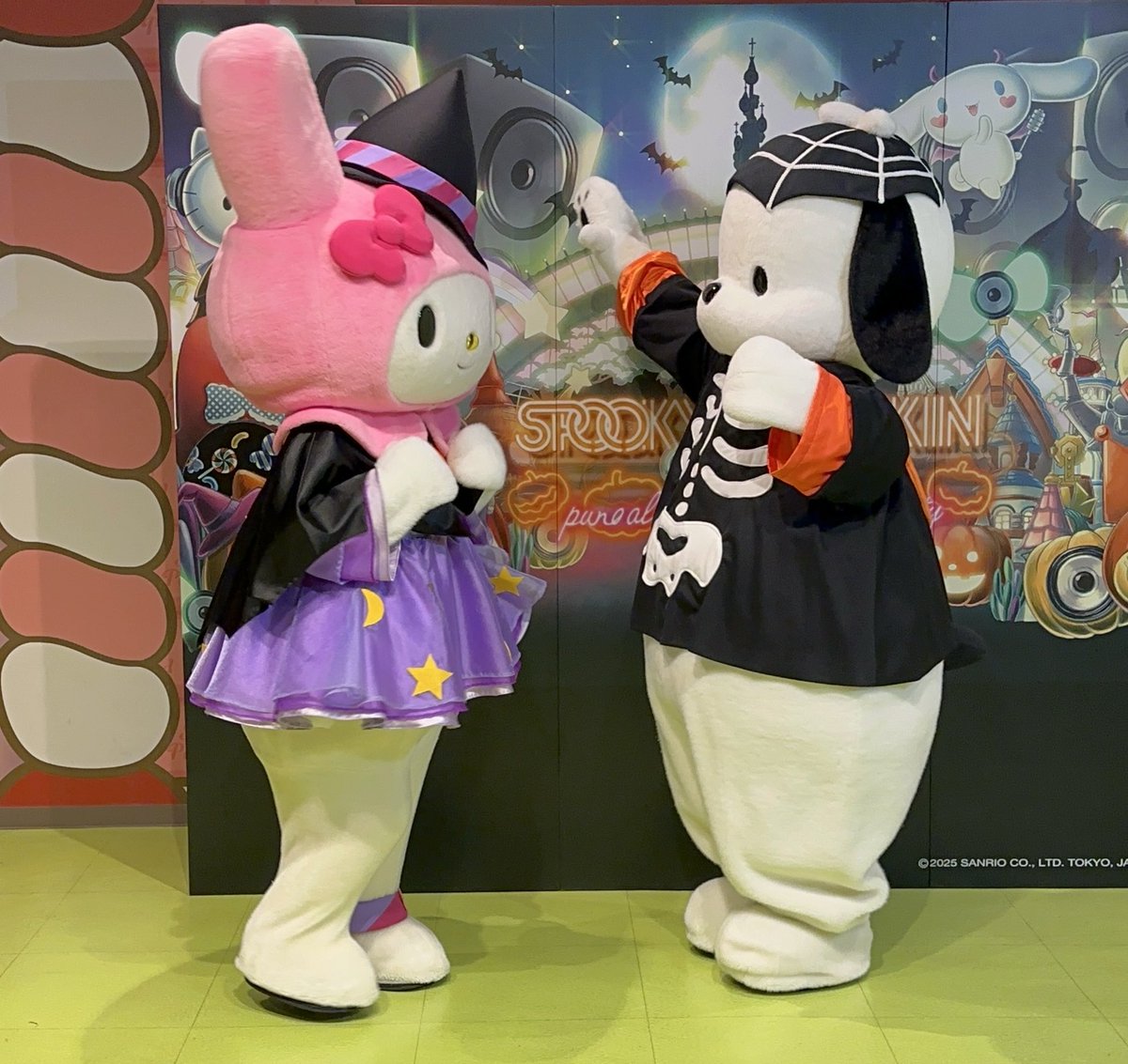 BESTSET9月3日本日今限定最終】マイメロディキャシー激レア