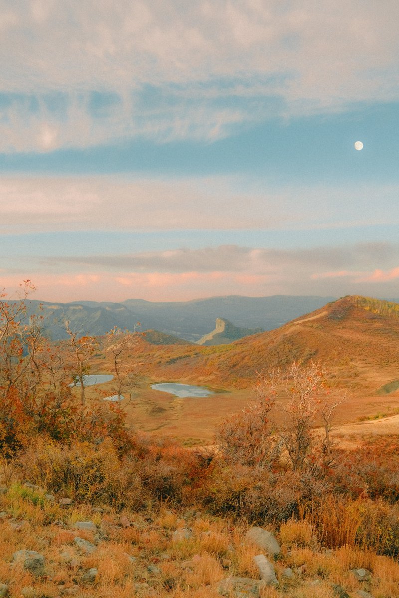 Alex Kittoe tweet media