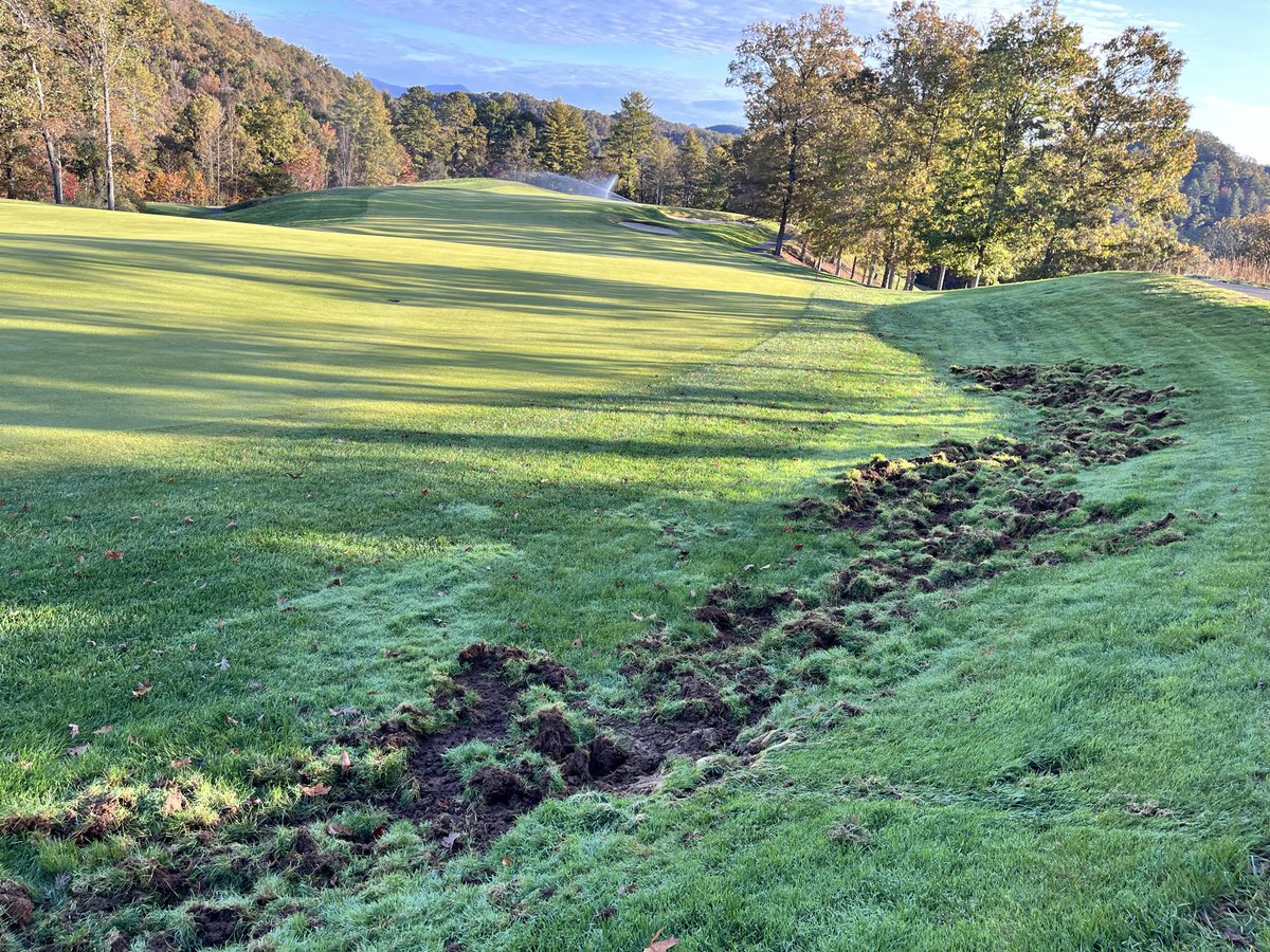 Doug Griffeth tweet media