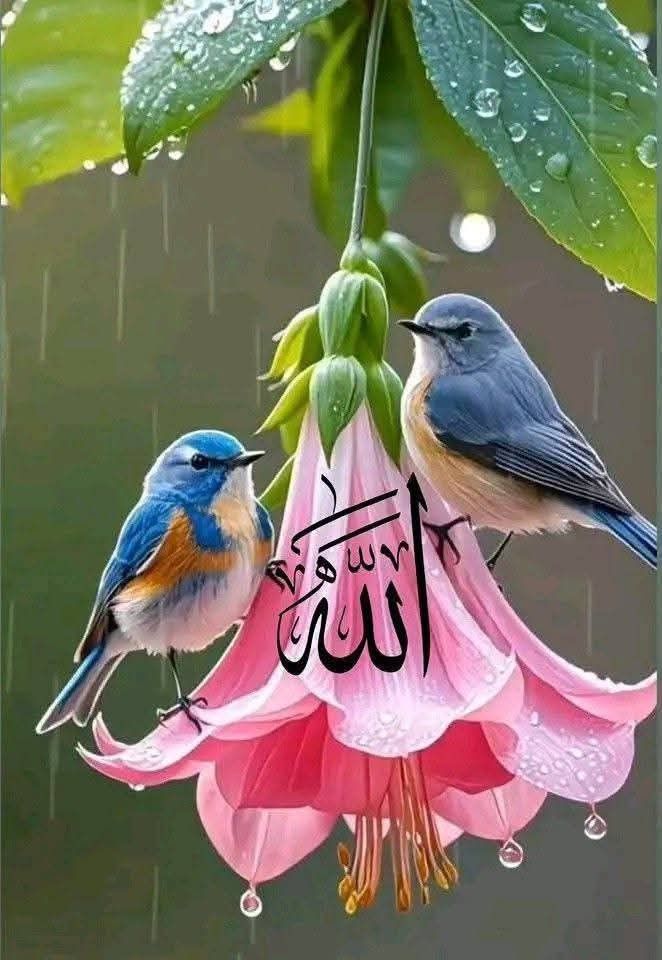Tweet media one