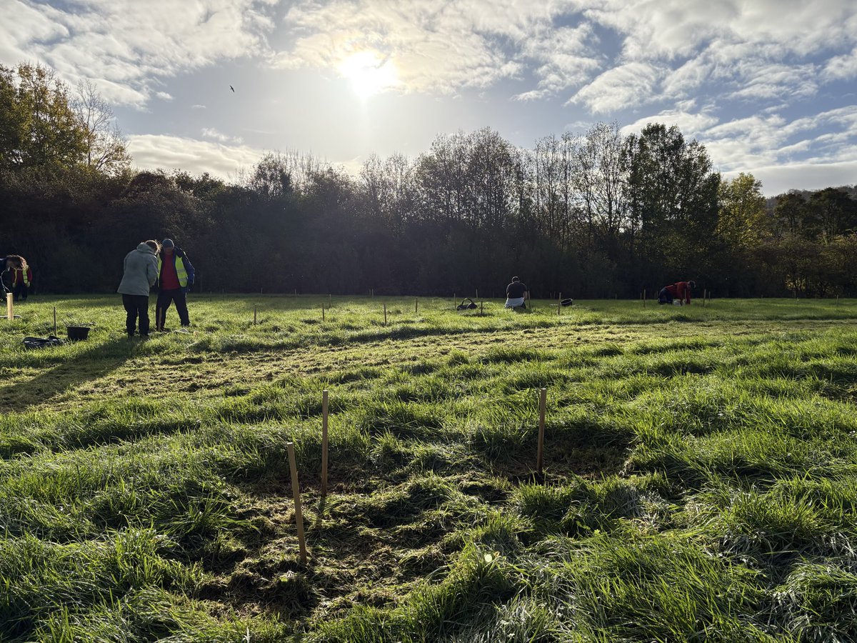 Jane Solomons tweet media