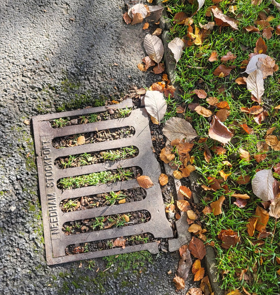 NorahGavin's tweet image. You could also start by clearing the drains - that would help excess water clear quicker!!! 🤨 #DoYourBit